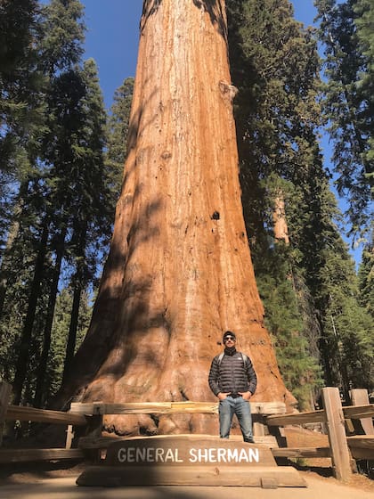 General Sherman, super estrella del Sequoia National Park.