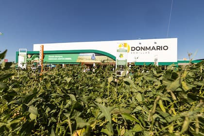 Genética, biotecnología y nuevas estrategias de manejo: las semilleras aprovecharon Expoagro para mostrar hacia dónde avanzan los desarrollos en maíz, soja, girasol y trigo