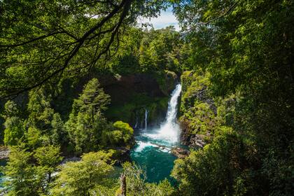 Gentileza: @huilohuilo_reservabiologica