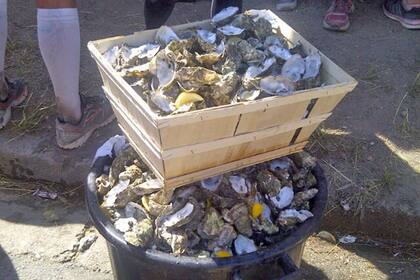 Gentileza de Claudio Destéfano