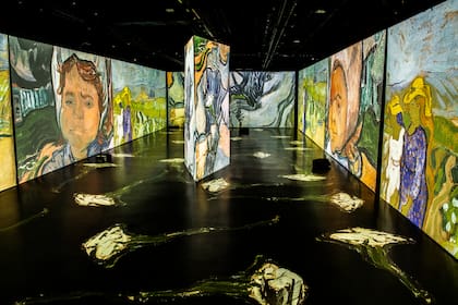 Gentileza Imagine Van Gogh