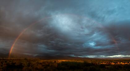Gentileza Michel Evans. The Vines