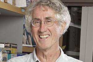 Gerald R. Crabtree, biólogo del desarrollo de la Universidad Stanford