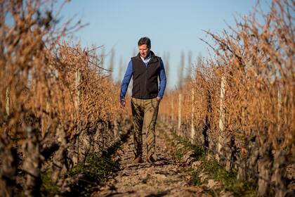 Gérald Gabillet, enólogo de Cheval des Andes, en el viñedo de Las Compuertas