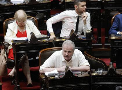 Gerardo Milman en la tercera jornada de debate por la "Ley Ómnibus" en la cámara de Diputados