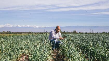 Germán Horn, ingeniero agrónomo, a cargo del área de abastecimiento de Knorr