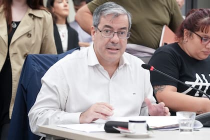 Germán Martínez, jefe de bloque de UP