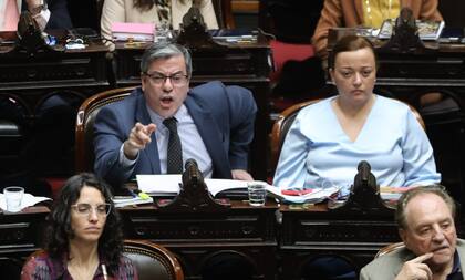 Germán Martínez, jefe de UP en Diputados, junto a Cecilia Moreau