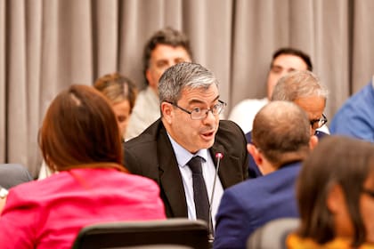 Germán Martínez, presidente de la bancada de UxP