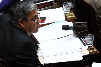 Germán Martínez se quejó de lo que ganan los diputados y senadores: “Se necesita recuperar las dietas”