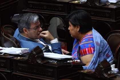 Germán Martínez (UP) y la expresidenta de la Comisión Bicameral del Defensor de los Derechos del Niño, Natalia Sarapura (UCR), durante una conversación en el recinto
