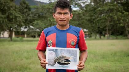 Germán Narankas, miembro de la comunidad shuar, muestra una de las especies que él y su comunidad descubrieron