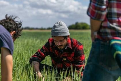 Germán recomienda el pan de centeno que se cultiva en nuestro país. Foto: Matías Firmat