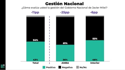 Gestión Nacional: ¿cómo evalúa la festinó del gobierno de Milei?