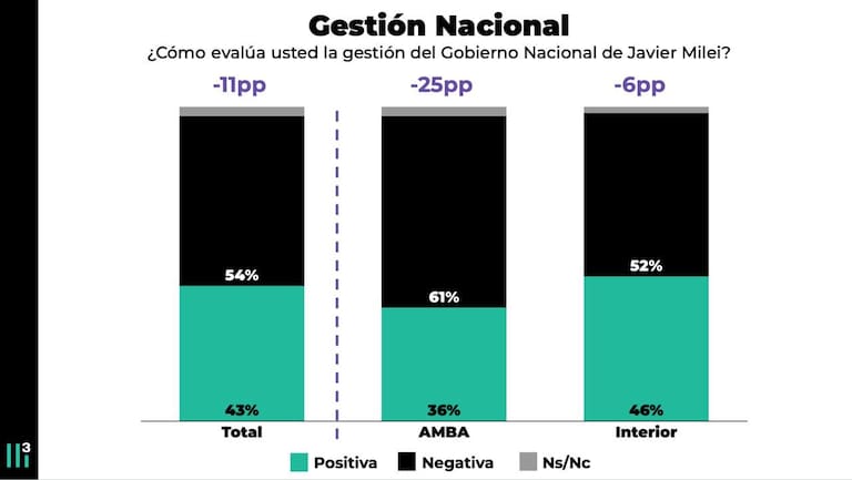 Gestión Nacional: ¿cómo evalúa la festinó del gobierno de Milei?