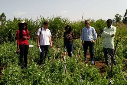 Desarrolladores de la región junto a Ignacio Ardanaz (con remera blanca), gerente de Rizobacter en África