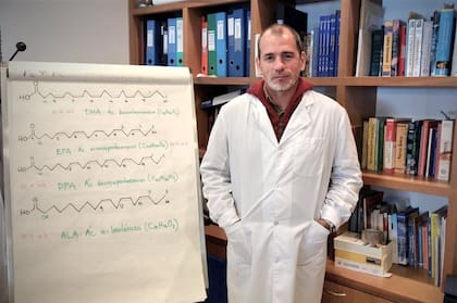 Gihón tiene un plan para montar un planta de Omega 3