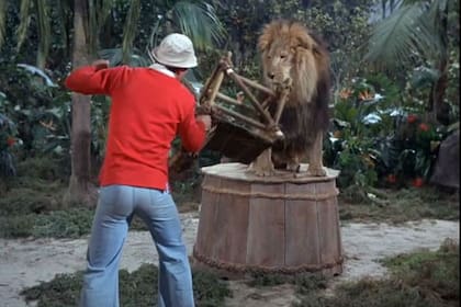 Gilligan y una escena con un león... que casi casi sale mal, muy mal