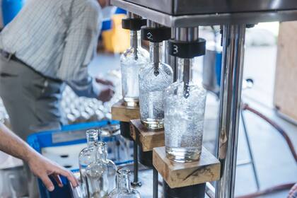 La elaboración del gin