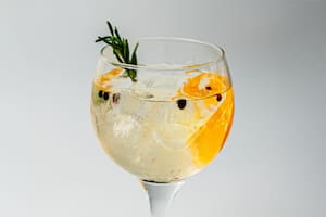 Gin tonic cítrico y herbal
