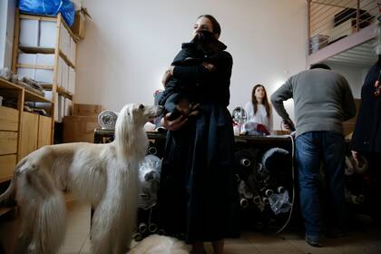 Giorgia, una clienta sostiene a su dachshund ''Pardo'', vistiendo un abrigo de invierno creado por la diseñadora Giovanna Temellini, en la sede de la fábrica