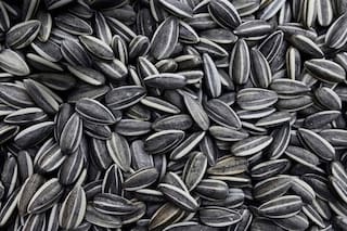 Se afianza el girasol confitero como cultivo noble y alternativa saludable