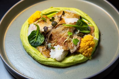 Gírgolas a la plancha, con puré de coliflor, escabeche de hongos y huevo poché