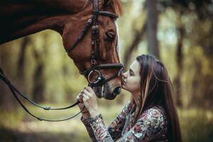 ¿Cuánto sabés sobre el caballo?