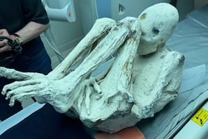 Giro en el caso de los "extraterrestres no humanos": qué dijo la autopsia sobre sus huellas dactilares. Foto: Gaia.com