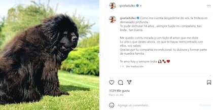 Gisela Dulko dedicó un sentido mensaje a su perrita