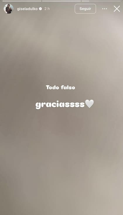 Gisela Dulko desmintió los rumpres de romance con Roberto García Moritán (Foto: Instagram @giseladulko)