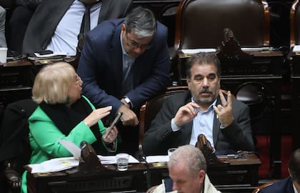 Giudici, Martínez y Ritondo durante la sesión en Diputados donde se debate el conflicto en el Hospital Garrahan, la problemática de las jubilaciones y la emergencia en discapacidad