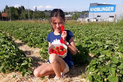Giulia, recogiendo frutillas cerca de su hogar.