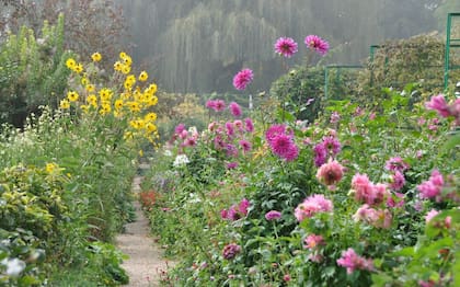 A 75 kilómetros de París, permanece abierto al público hace casi 40 años.