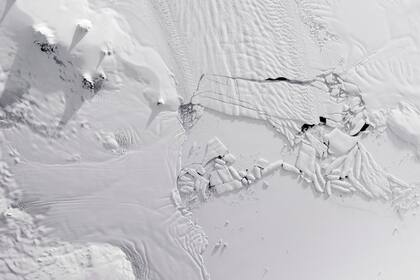 El glaciar de la Isla Pine en noviembre de 2018