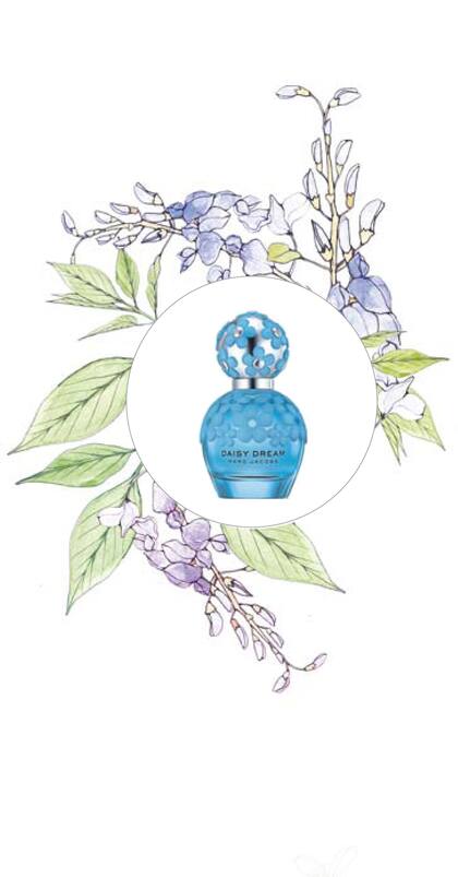 Glicina, Daisy dream forever