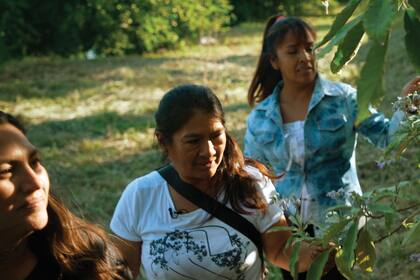 Gloria, Ubaldina y Clotilde trabajan todos los días en el vivero.