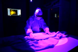 ADN revelador. Cuando la genética sigue el rastro del autor del crimen