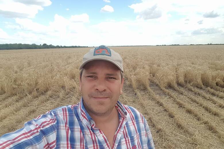 Productores del NOA en alerta por exigencias del Inase sobre semillas de garbanzo