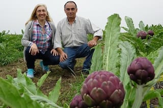 La falta de trabajadores puso en jaque a una hortaliza que marcó toda una época