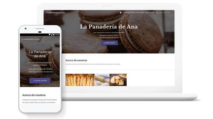 Actualmente el principal sector de las pequeñas empresas hispanas es el de bienes de consumo/ventas minoristas/comercio electrónico, el cual representa el 15 % de las empresas pertenecientes a esta categoría