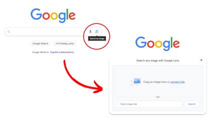 Google Lens permite buscar la imagen completa o sólo una parte de la imagen