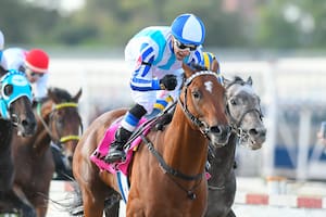 El potrillo que guardó energías para ganar el Nacional tuvo al jockey que pasó "meses duros y tristes"