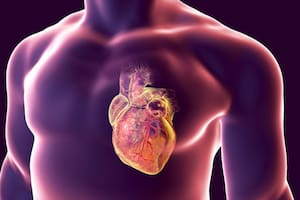 Gracias a la biología molecular avanzada, la genética y los macrodatos de muestras de sangre para analizar, los científicos pueden determinar que algunos de nosotros somos “envejecedores del corazón”