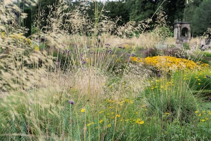 Gracias a la incorporación de las gramíneas, los canteros extienden su temporada de interés. Las Stipa gigantea, Rudbeckia sp., Verbena bonariensis, salvias arman este conjunto muy atractivo en Trentham Gardens, Inglaterra.