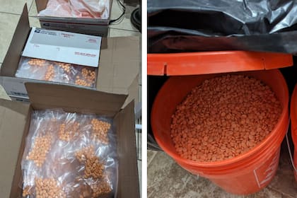 Gracias a la operación RapTor incautaron más de 2.000 kilos de drogas