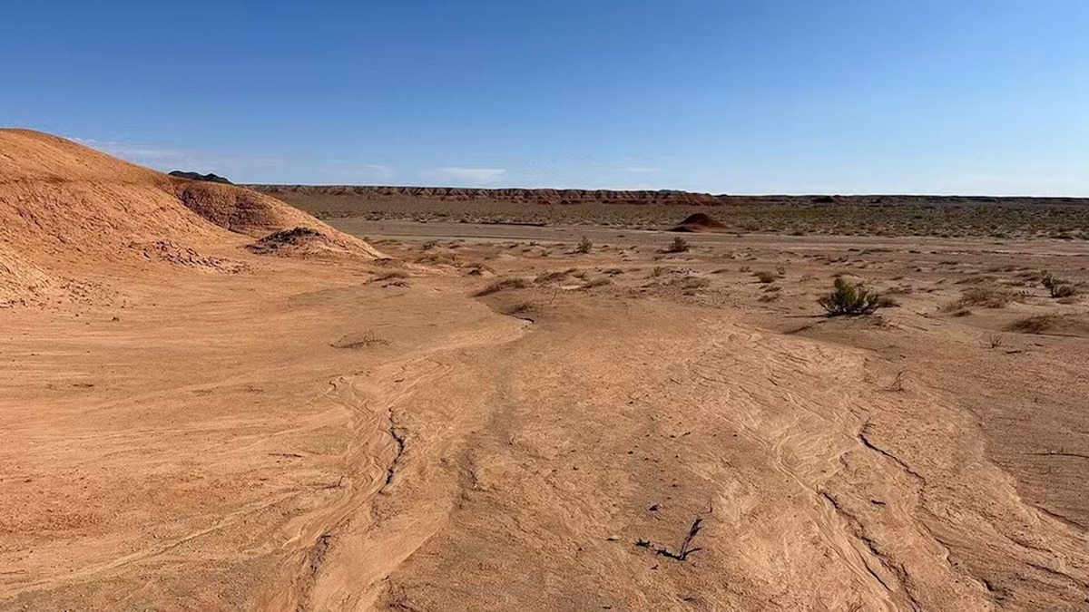 Eles descobrem que a areia do deserto se transforma em tijolo ou concreto