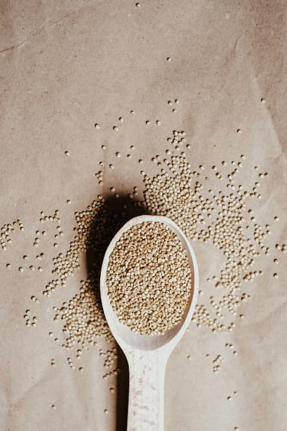 Gracias a su perfil de aminoácidos completo, la quinoa es una aliada ideal para quienes buscan proteína vegetal de calidad