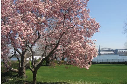 Gracie Mansion cuenta con controles de acceso y vigilancia permanente