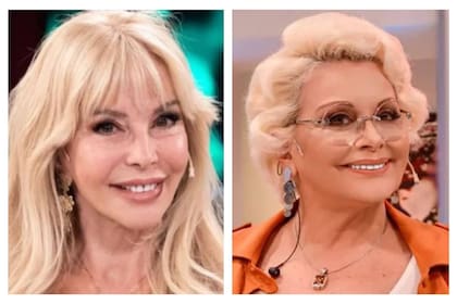 Graciela Alfano contó que hay una oferta para trabajar con Carmen Barbieri